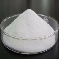 Sodium Erythorbate / Sodium D-Isoascorbate /  CAS NO. 6381-77-7
