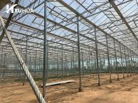 Greenhouse Diffuse Glass with AR D5