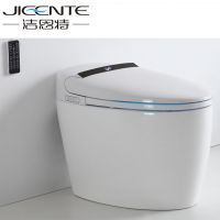 electric toilet for bathroom with heating and drying function