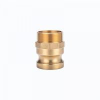 Brass camlock fitting Type F