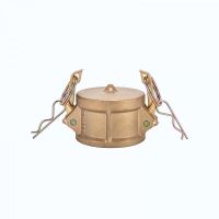 Brass camlock fitting Type DC