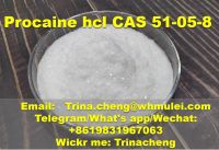 Buy procaine hcl powder Procaine hydrochloride from China supplier CAS: 51-05-8
