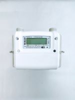Ultrasonic home smart gas meter / Internet of things gas meter