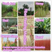 Sisal, pineapple, banana stem, Abaca, hemp peeling machine