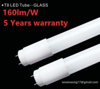 T8 Glass tube lumen up to 180lm per watt 5 year warranty