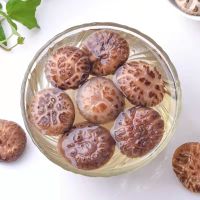 Dashanhe Basswood Shiitake