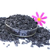 China Factory Supply High Quality Gold Coconut Shell Activated active Carbon for Gold Extracting
