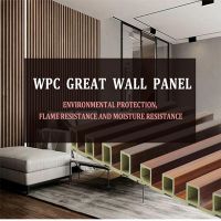 Composite Wall Cladding and Interior WPC Wall Panel