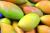 Frozen Mangoes/Frozen Mango Dices/IQF Mango
