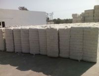 Indian Raw Cotton-v797