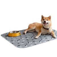 2021 New Reusable Washable Puppy Pee Pad Car Waterproof Training Pet Pads