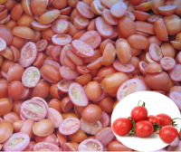 wholesale iqf sliced cherry tomato diced frozen tomato