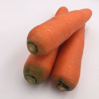 New crop fresh  vegetables wholesale carot/carrot seeds price of carrots in bulk for export in China