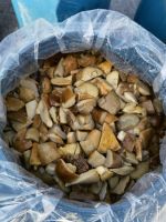 Mushrooms In Brine And Dried