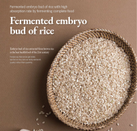 Fermented embryo bud of rice