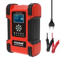 FOXSUR 12V 24V 12A Pulse Repair Charger, LiFePO4 Motorcycle &amp; Car Battery Charger, AGM Deep cycle GEL EFB Lead-Acid Charger