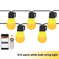 Bluetooth Warm White Bulb String Light