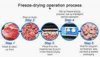 Low Cost Affordable Home Food Freeze Dryer Lyophilizer Equipment For Fruit And Vegetable And Herbal And Pet Food