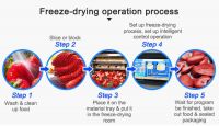 Low Cost Affordable Home Food Freeze Dryer Lyophilizer Equipment For Fruit And Vegetable And Herbal And Pet Food