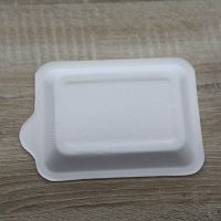 Wholesale disposable dessert tray fruit tray biodegradable cake tray