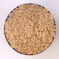 broken Vietnam Jasmine Rice / Long grain white rice