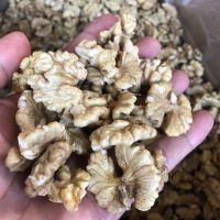Factory supply Bulk lowest price New High Quality Pure Natural thin Skin inshell 185 Walnuts