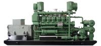 500kw Biogas Engine Power Generator Sets For Waste To Energy Projects