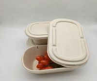 Disposable Sugarcane Bagasse Food Container With Lids