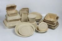 Compostable Plate , Tray , Bowl , Cup 