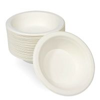 Biodegradable Dinnerware