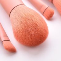 Custom LOGO 10PCS Makeup Tool long handle Cosmetic Brush Bag Gift Face Beauty Brushes Pink Makeup Brushes Set