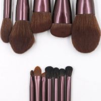 New Arrivals nylon oval makeup brush set 12 pcs private abel small grape makeup brushes set with case