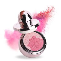 Blush palette private label makeup blush flowers natural oil control air cushion blush pink silk flowers