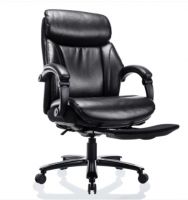 STARSPACE Executive Office Chair BTX-2219