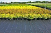 Heavy duty Uv resistance pp woven groudnd cover supply with factory price