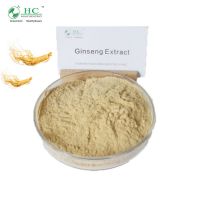 Health Product Supplier Ginseng Extract Powder Ginseng Root Panax Ginseng
