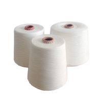 High Strength Bleach White 100% Spun Polyester Yarn On Plastic Cone