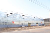 Agriculture multi-span arch plastic film Greenhouse tomato greenhouse and strawberry greenhouse