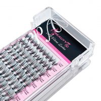 20d Volume Lashes Premade Fans Eyelash Extensions