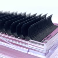 Easy Fan Lashes Fast Blooming Eyelash Extensions