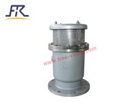 Flange Exhaust Valve Air Release Valve CARX-10P DN200