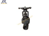 Forged Carbon Steel A105N Class 800 Gate Valve