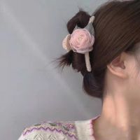 https://fr.tradekey.com/product_view/Elegant-Transparent-Tulle-Rose-Hair-Claw-Clip-9799788.html
