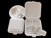 biodegradable PLA airline cutlery