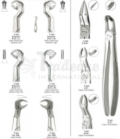 Extracting forceps (English Pattern)