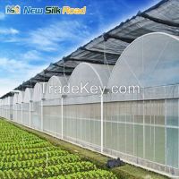 NSR Greenhouse Cheap Economical Plastic Vegetable Tunnel Greenhouse