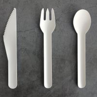 Paper Pulp Biodegradable Disposable Eco Friendly Cutlery Bamboo Knife