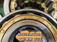 WGY CYLINDRICAL ROLLER BEARING 