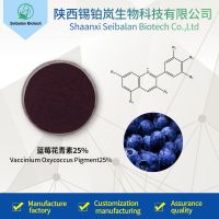 Natural Blueberry Extract / Vaccinium Uliginosum L. Anthocyanin 25% Blueberry Anthocyanin 25%