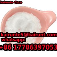 CAS 288573-56-8 PMK Powder with Low Price 99.99% White powder 99% CAS 288573-56-8 PMK Powder with Low Price 99.99% White powder 288573-56-8 Kairunte
